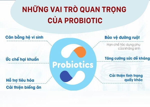 FTT_Probiotics và vai trò đối với hệ tiêu hóa