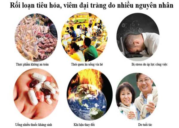 FTT_Yếu tố gây viêm đại tràng