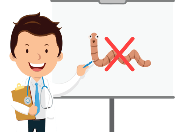 FTT_Tắc ruột là gì? Hiểu đúng để bảo vệ sức khỏe đường ruột