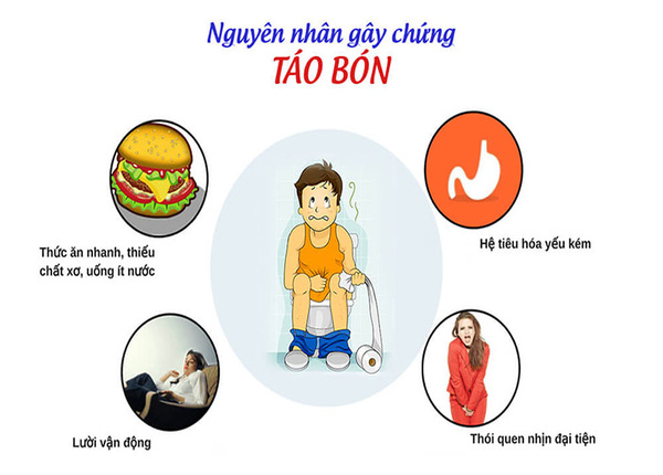FTT_Táo bón và những điều bạn chưa biết về đại tràng