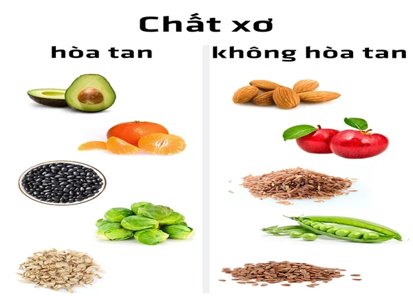 FTT_Chế độ ăn ít chất xơ