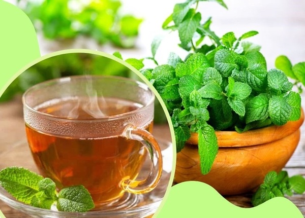 FTT_TBài thuốc chữa trị hội chứng ruột kích thích tại nhà