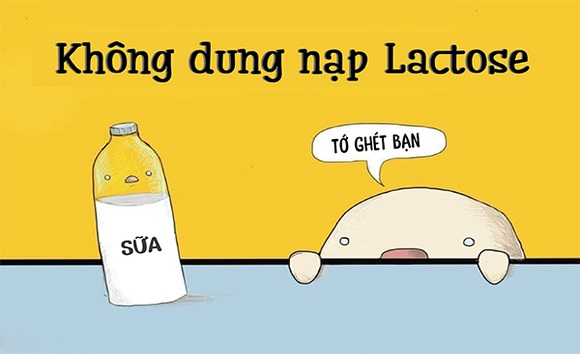 Không dung nạp lactose có liên quan đến IBS?