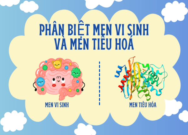 FTT_Men vi sinh và men tiêu hóa