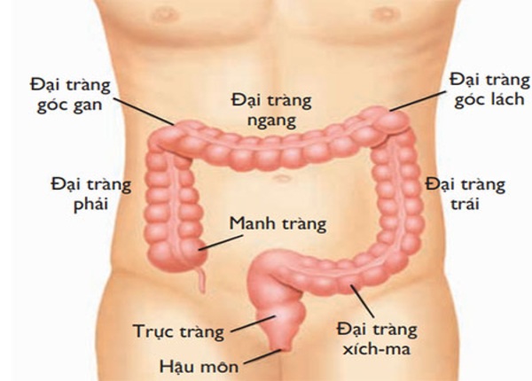 FTT_Hẹp đại tràng