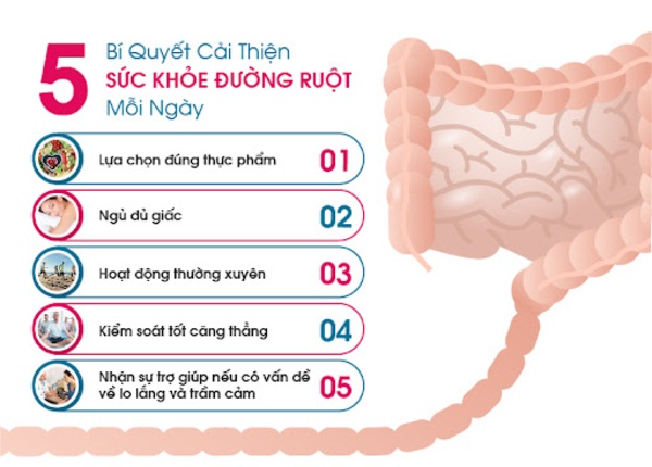 FTT_Dấu hiệu hệ tiêu hóa khỏe mạnh