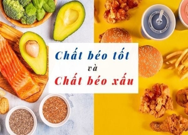 FTT_Sự thật về chất béo tốt