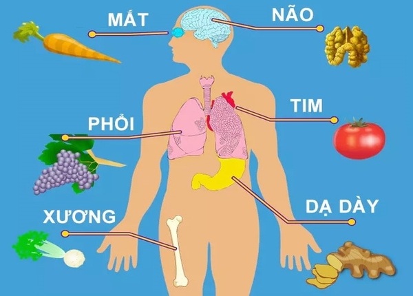 FTT_Điều hòa ngũ tạng