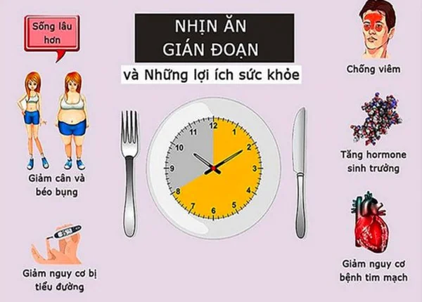 FTT_Hệ tiêu hóa thay đổi ra sao khi bạn thực hiện nhịn ăn gián đoạn?