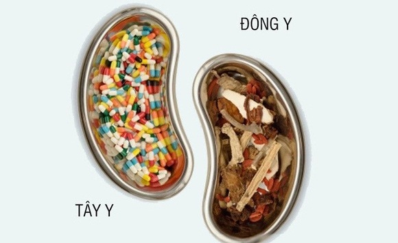 Khác biệt giữa cách nhìn nội tạng theo Đông y và Tây y? 