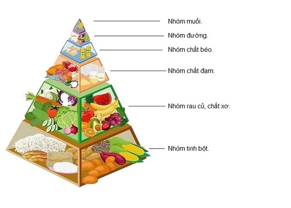 FTT_Tháp dinh dưỡng chuẩn cho người đau dạ dày