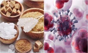 FTT_Có phải tế bào ung thư “thích” đường?