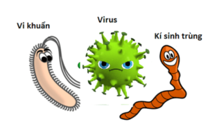 FTT_Các loại vi khuẩn, virus, ký sinh trùng gây nhiễm trùng dạ dày