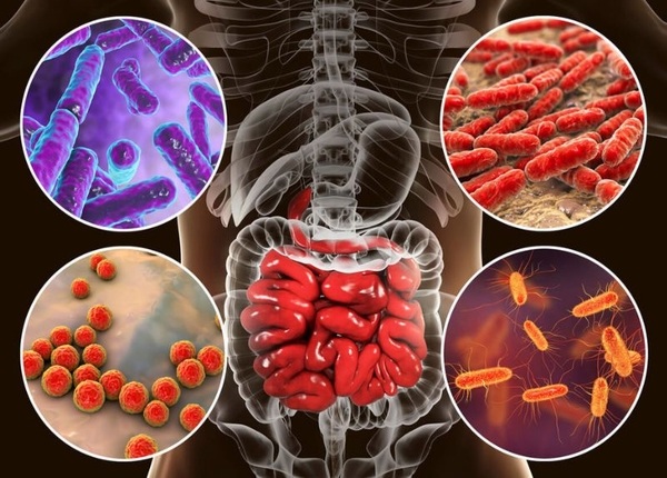 FTT_Các loại vi khuẩn, virus, ký sinh trùng gây nhiễm trùng dạ dày