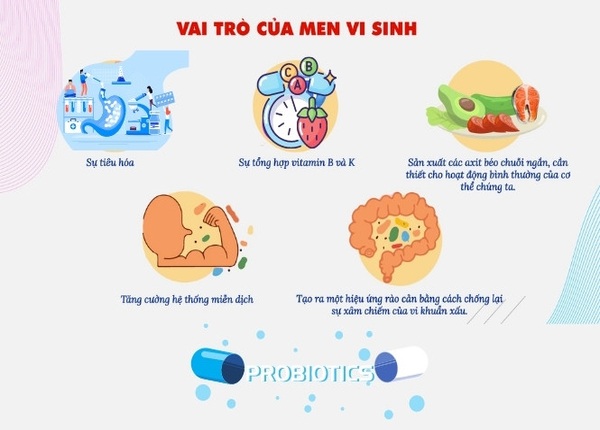 FTT_Tác dụng của men vi sinh với hệ tiêu hóa và miễn dịch